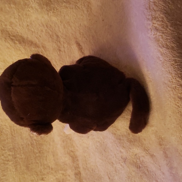 TY BEANIE BABIES MATTEO THE MONKEY AND LINDI THE CAT  6"  EACH NWOT. - Picture 4 of 8